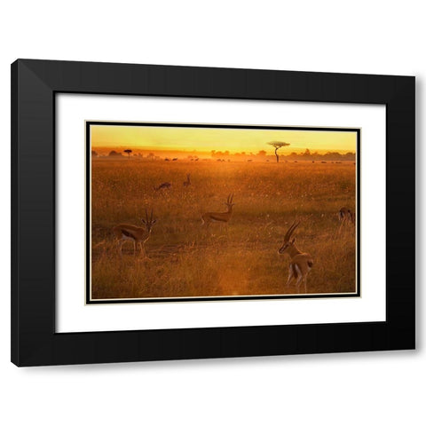 Morning Black Modern Wood Framed Art Print with Double Matting by Chang, Phillip