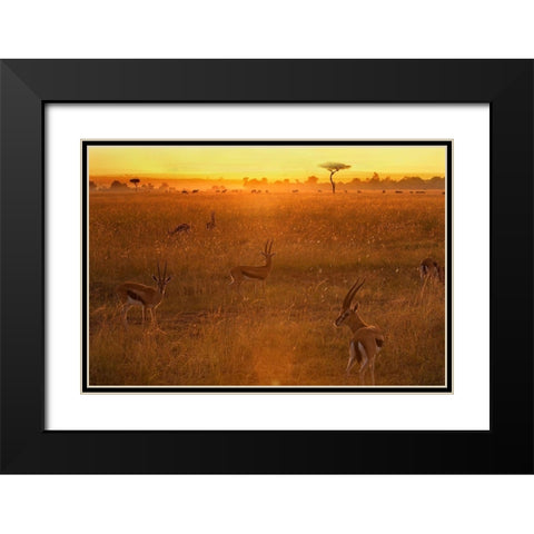 Morning Black Modern Wood Framed Art Print with Double Matting by Chang, Phillip