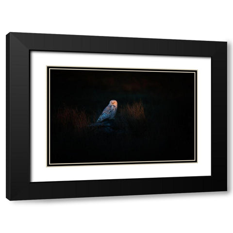The Watcher Black Modern Wood Framed Art Print with Double Matting by Chang, Phillip