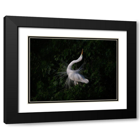 The Call Black Modern Wood Framed Art Print with Double Matting by Chang, Phillip