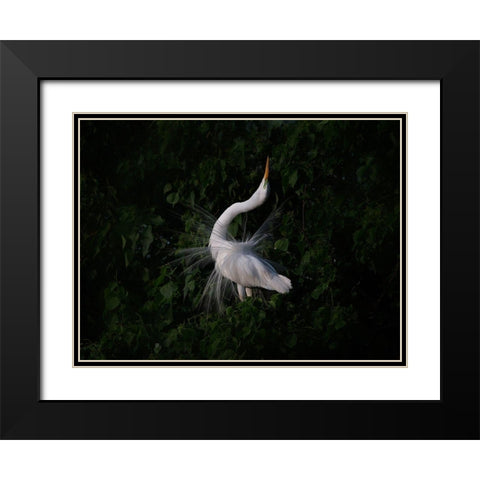 The Call Black Modern Wood Framed Art Print with Double Matting by Chang, Phillip