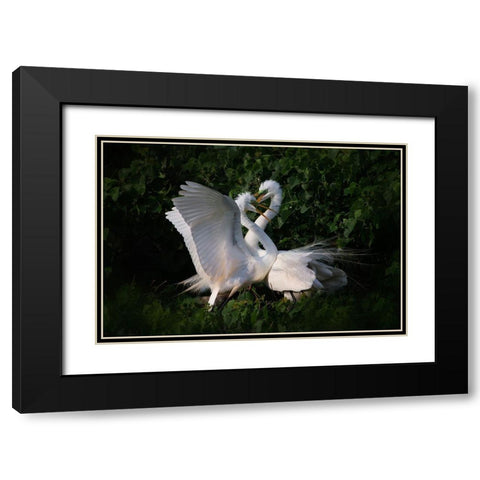 Love is in the air Black Modern Wood Framed Art Print with Double Matting by Chang, Phillip