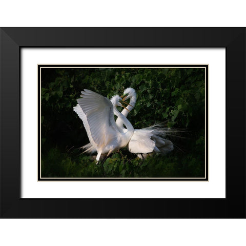 Love is in the air Black Modern Wood Framed Art Print with Double Matting by Chang, Phillip