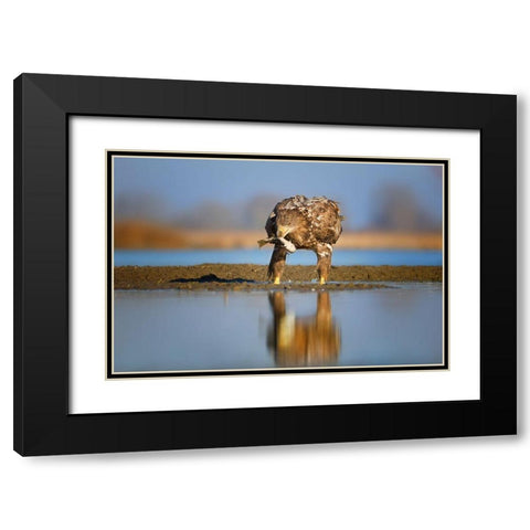 Dinner time Black Modern Wood Framed Art Print with Double Matting by Chang, Phillip
