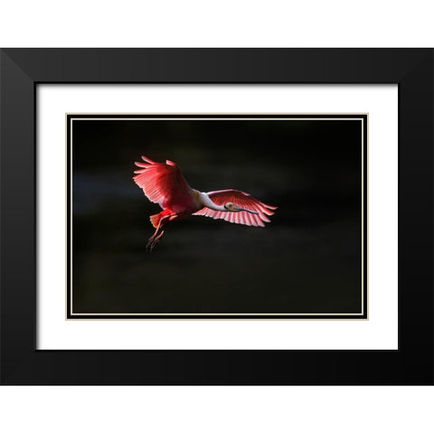 Fying home Black Modern Wood Framed Art Print with Double Matting by Chang, Phillip