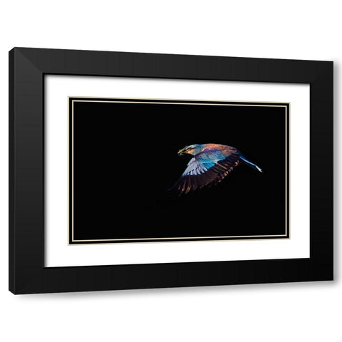 The Roller hunting Black Modern Wood Framed Art Print with Double Matting by Chang, Phillip