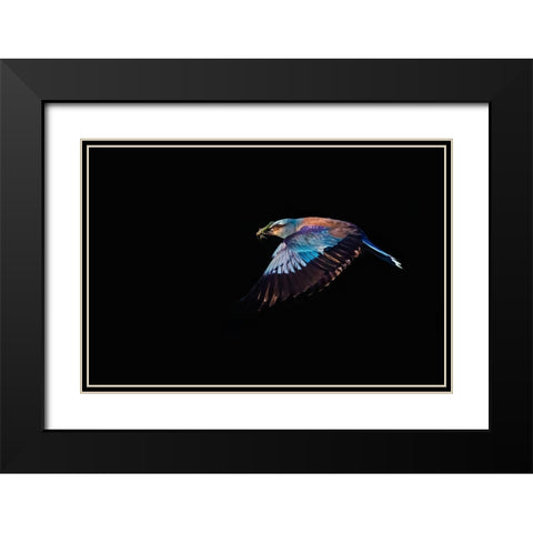 The Roller hunting Black Modern Wood Framed Art Print with Double Matting by Chang, Phillip