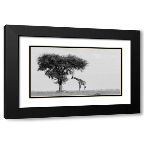 The wild Black Modern Wood Framed Art Print with Double Matting by Chang, Phillip