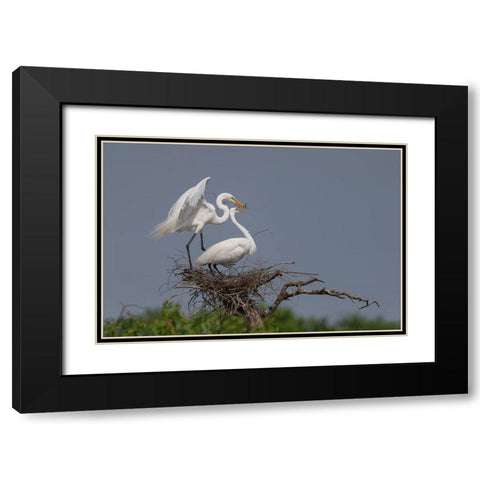 Working Black Modern Wood Framed Art Print with Double Matting by Chang, Phillip