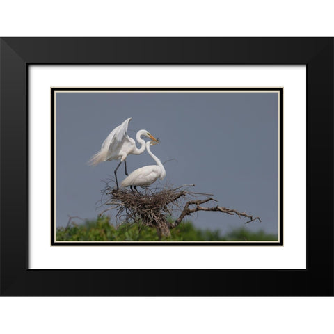 Working Black Modern Wood Framed Art Print with Double Matting by Chang, Phillip