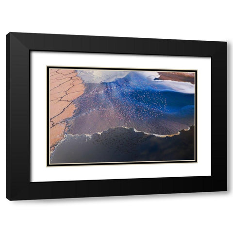 The flower Black Modern Wood Framed Art Print with Double Matting by Chang, Phillip