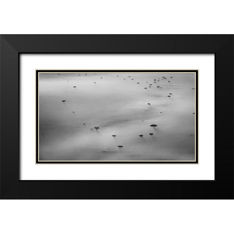 The trees Black Modern Wood Framed Art Print with Double Matting by Chang, Phillip