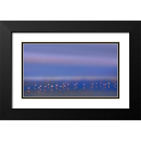 Early Morning Black Modern Wood Framed Art Print with Double Matting by Chang, Phillip