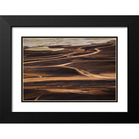 The wild Black Modern Wood Framed Art Print with Double Matting by Chang, Phillip