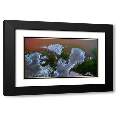 The big flower Black Modern Wood Framed Art Print with Double Matting by Chang, Phillip