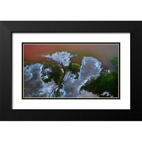 The big flower Black Modern Wood Framed Art Print with Double Matting by Chang, Phillip