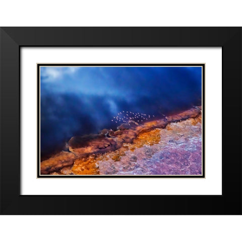 Flamingo fly over the lake Black Modern Wood Framed Art Print with Double Matting by Chang, Phillip