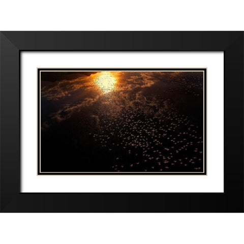 Late flying Black Modern Wood Framed Art Print with Double Matting by Chang, Phillip