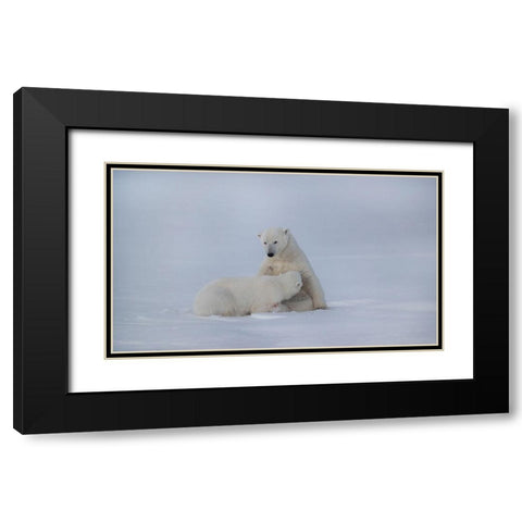 Feeding Black Modern Wood Framed Art Print with Double Matting by Chang, Phillip