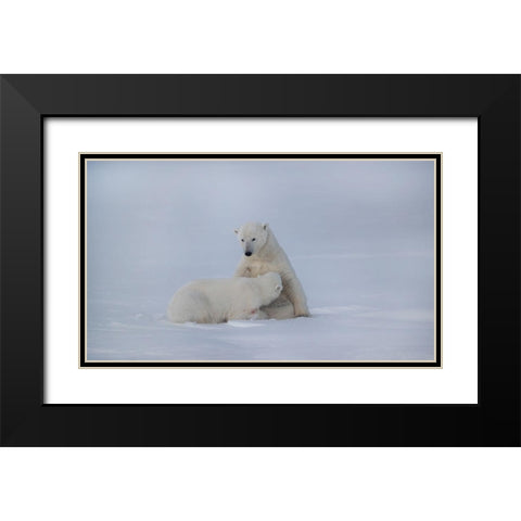 Feeding Black Modern Wood Framed Art Print with Double Matting by Chang, Phillip