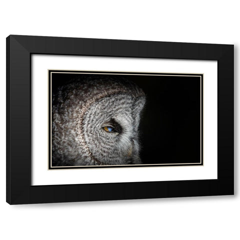 Never mind Black Modern Wood Framed Art Print with Double Matting by Chang, Phillip