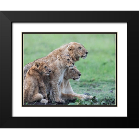 In the rain Black Modern Wood Framed Art Print with Double Matting by Chang, Phillip