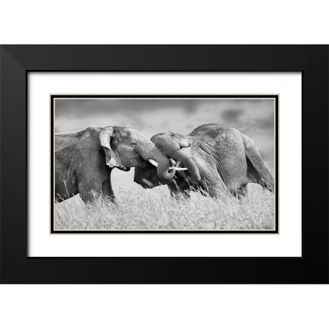 So Powerful Black Modern Wood Framed Art Print with Double Matting by Chang, Phillip