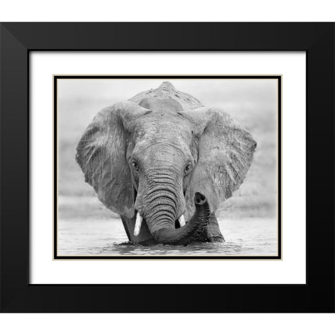 How are you Black Modern Wood Framed Art Print with Double Matting by Chang, Phillip