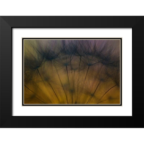 Taste of spring Black Modern Wood Framed Art Print with Double Matting by Siegers, Ricky