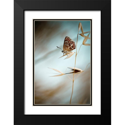 Dream in blue Black Modern Wood Framed Art Print with Double Matting by Bravin, Fabien