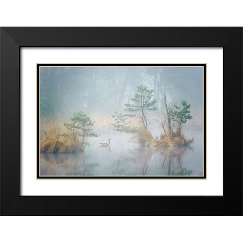 Hide and Seek Black Modern Wood Framed Art Print with Double Matting by George, Andrew