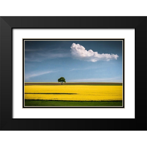 The Tree and the Cloud Black Modern Wood Framed Art Print with Double Matting by Wonisch, Andreas