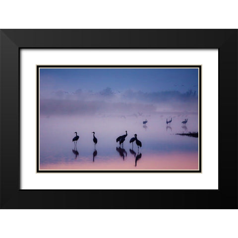 Enchanted Serenity Black Modern Wood Framed Art Print with Double Matting by Meizner