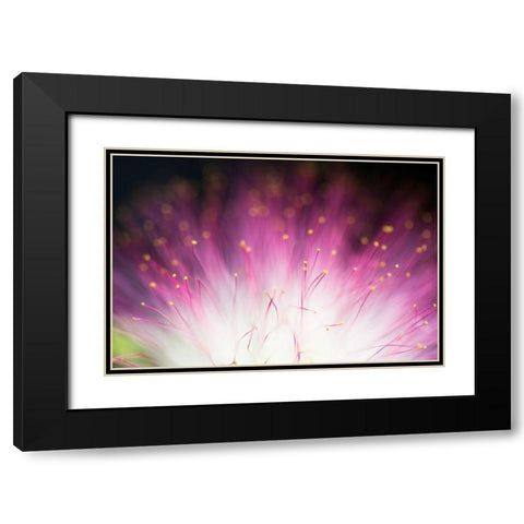 Elfin Black Modern Wood Framed Art Print with Double Matting by Lionse, Art