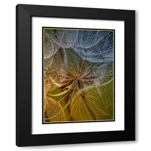 Inside Black Modern Wood Framed Art Print with Double Matting by Mathiesen, Kent
