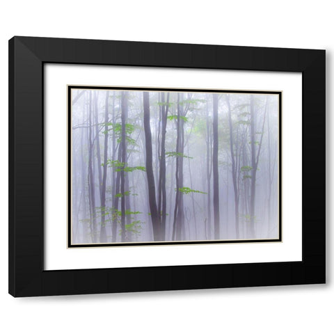 Misty Black Modern Wood Framed Art Print with Double Matting by Manzoni, Michel