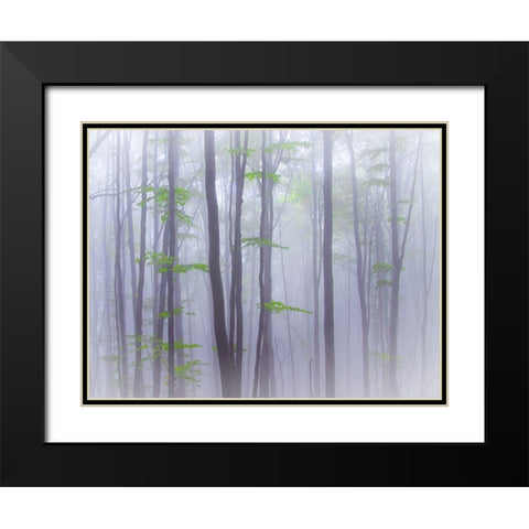 Misty Black Modern Wood Framed Art Print with Double Matting by Manzoni, Michel