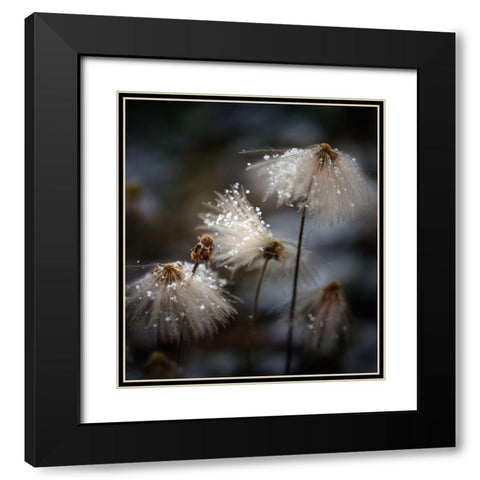 The new dress Black Modern Wood Framed Art Print with Double Matting by Dou, Shenshen