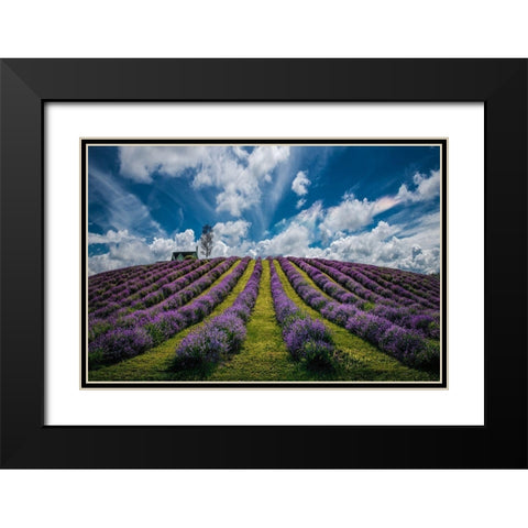 Unforgettable summer Black Modern Wood Framed Art Print with Double Matting by Dujic LightHunter, Zoran