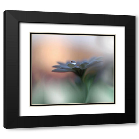 Eyes of the Light Black Modern Wood Framed Art Print with Double Matting by Nan, Juliana