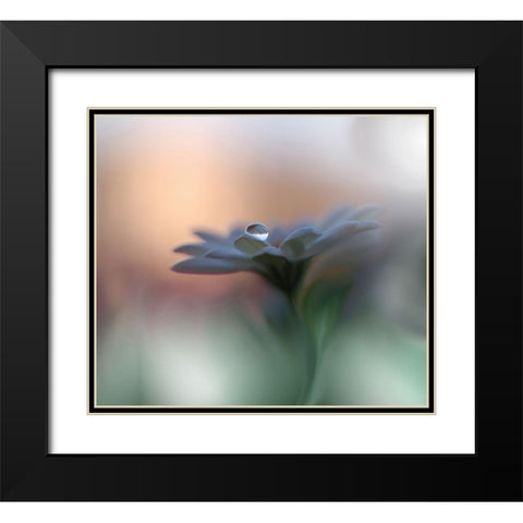 Eyes of the Light Black Modern Wood Framed Art Print with Double Matting by Nan, Juliana