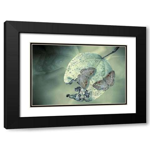 Duet Black Modern Wood Framed Art Print with Double Matting by Hoffman, Jimmy