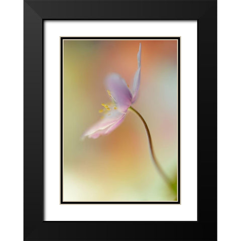 Tender spring Black Modern Wood Framed Art Print with Double Matting by Westum, Heidi