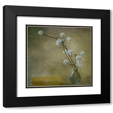 Books Black Modern Wood Framed Art Print with Double Matting by Devos, Delphine