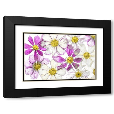 Keeping Summer Black Modern Wood Framed Art Print with Double Matting by Disher, Mandy