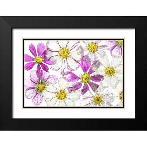 Keeping Summer Black Modern Wood Framed Art Print with Double Matting by Disher, Mandy