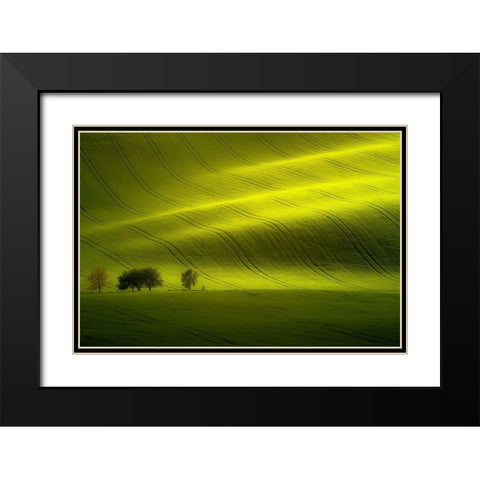 Sunlight Black Modern Wood Framed Art Print with Double Matting by Banny, Peter