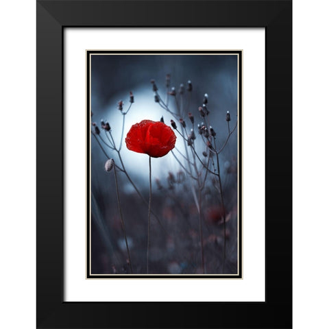Flower not by kenzo. By me Black Modern Wood Framed Art Print with Double Matting by Bravin, Fabien