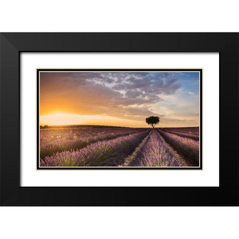 DESTINATION LAVENDER Black Modern Wood Framed Art Print with Double Matting by Ros, Fran