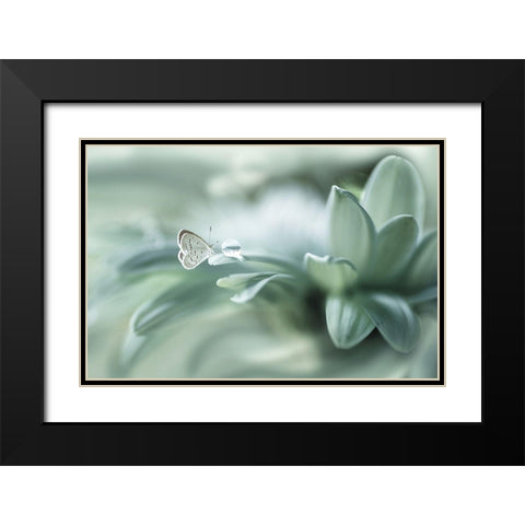 Bola ajaib Black Modern Wood Framed Art Print with Double Matting by Setiawan, Arief